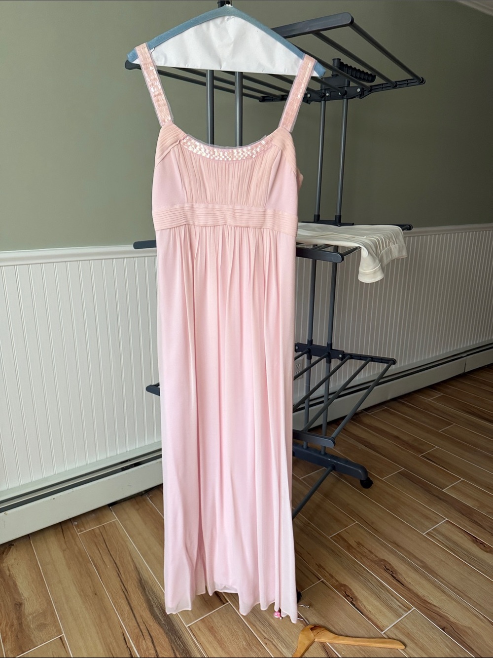 BCBG Max Azria Blush Pink Beaded Chiffon Empire Waist Maxi Gown